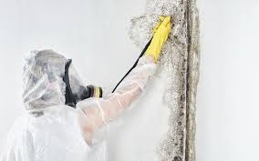 Asbestos and Lead Testing During Mold Inspection in Martinsville, NJ